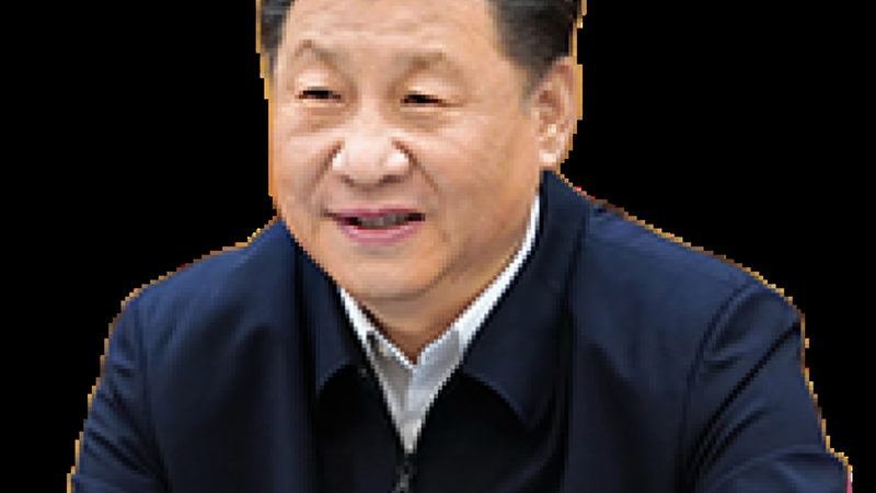 农药精细化工配方：精准调控，保障作物健康**